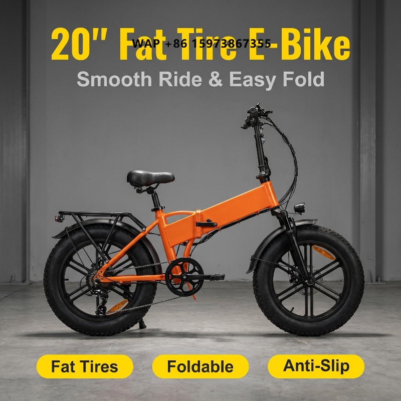 Tragbares, faltbares 20-Zoll-E – Cycling Commuting Bewertung und Preis