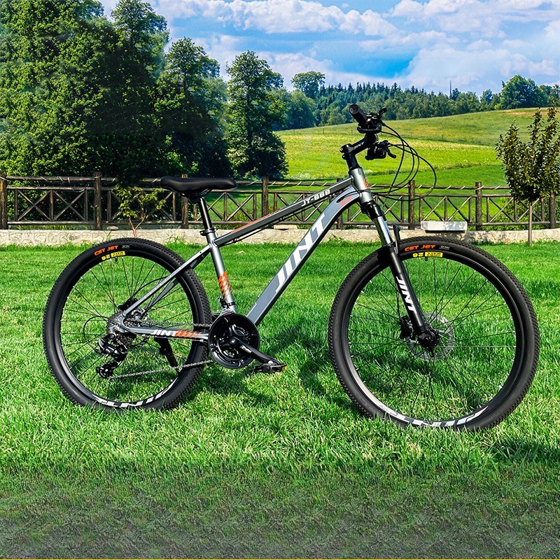 Großhandel Aluminiumlegierung  – Commuting With Road Bike Bewertung und Preis